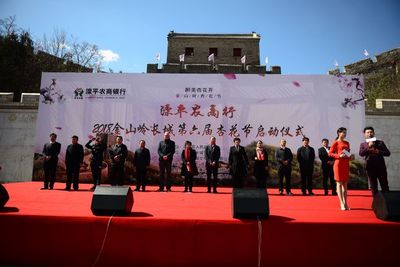 金山嶺上杏花雪，承德春韻醉游人——2018承德賞花季暨第六屆金山嶺長城杏花節盛大啟幕